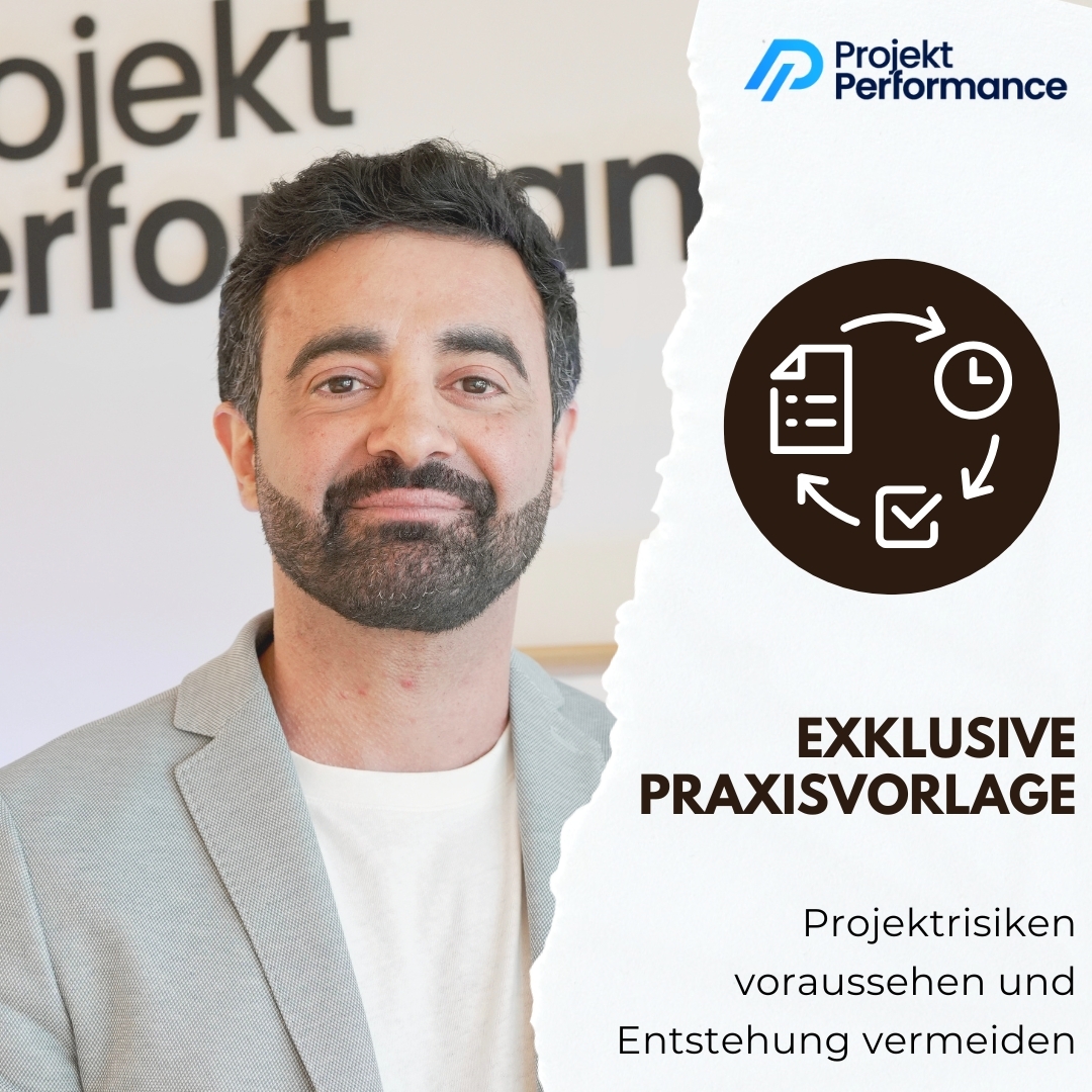Freebie Risikoanalyse für PM